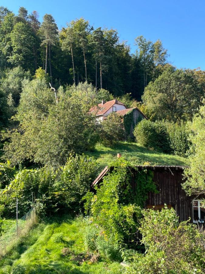 Apartament Mon Refuge En Vasgovie Meisenthal Zewnętrze zdjęcie