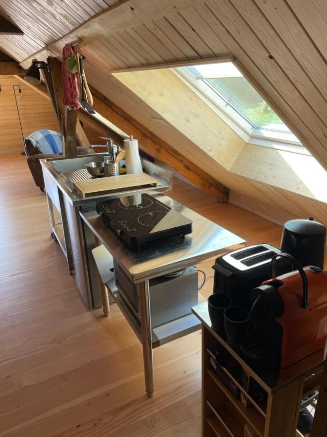 Apartament Mon Refuge En Vasgovie Meisenthal Zewnętrze zdjęcie