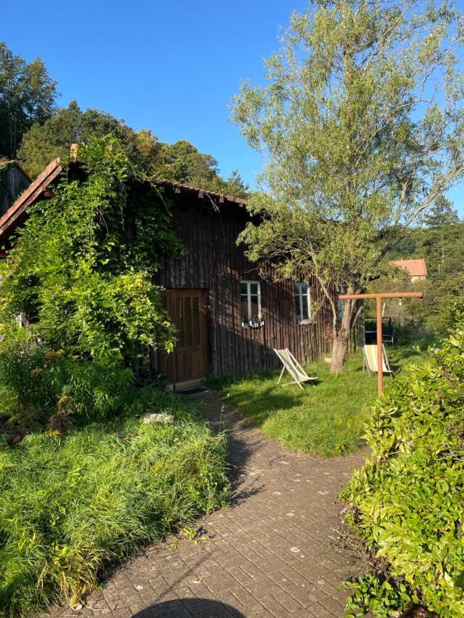 Apartament Mon Refuge En Vasgovie Meisenthal Zewnętrze zdjęcie
