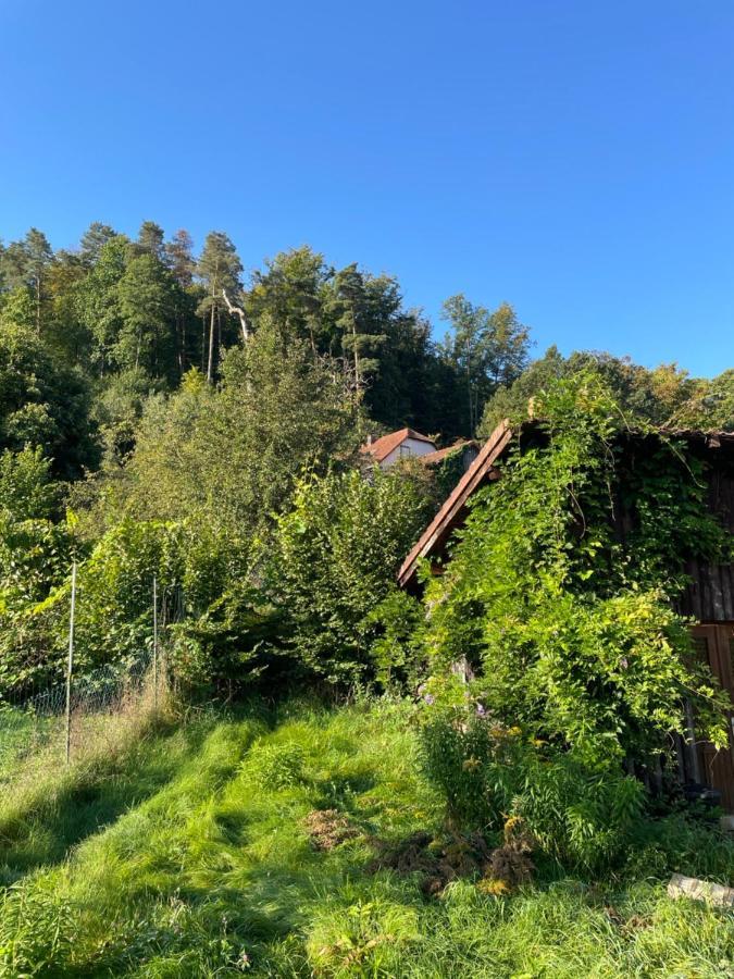 Apartament Mon Refuge En Vasgovie Meisenthal Zewnętrze zdjęcie